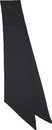 A320-2黑領巾